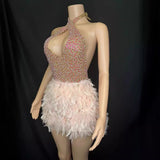 Pink Luxury Elegance, Spectacle, Small Diamond Skirt, Feather Adult Dress, Party Evening Dress