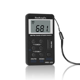 Foreign trade source am fm mini portable digital display elderly radio charging small radio USB interface