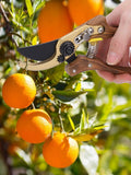 Shears Plant Trim Horticulture Hand Pruner Shrub Garden Scissor Orchard Branch Shear Professional Pruning Tool