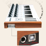 Worlde Midi Controller Keyboard Musical Instrument Digital Piano 25 Note Velocity-Sensi Keyboard Midi Keyboard Controller
