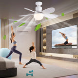 30W LED Light Ceig Fan with Remote Control E26/E27 Base 3 Speeds Adjustable Wind Speed for Home Living Room Bedroom Decor