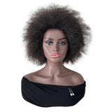 Short Curly Wigs for Women Afro Curly Wig, C