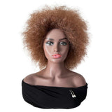Short Curly Wigs for Women Afro Curly Wig, A