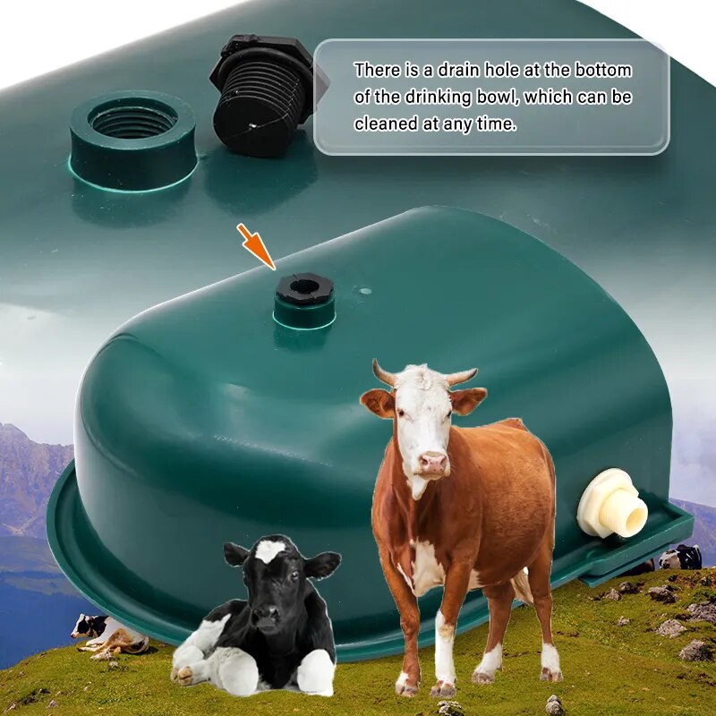 4L Automatic Cow Horse Dog Water Drinker Bowl Float-ball Type With Drain Hole Goat Sheep Water Trough Bowl Livestock Suppliers