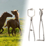 Stainless Steel Bander Livestock Castration Solution Heavy Duty Opener Castrating Plier for Lambs Caes Piglets Veterinary