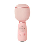 6 Sound Effects Wireless Karaoke Microphone Type-C Rechargeable Bluetooth-Compatible 5.0 for Adults Children