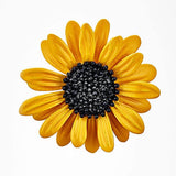 Flower Lapel Pin for Women, Yellow Sunflower Shape Alloy Brooch for Ladies  Backpack Clothes Hat Accessories (Color : Gold, Size : 1.4' x 1.4')