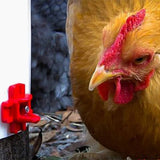 50/100Pcs Automatic Poultry Water Nipples Drinker Waterer For Chicken Or Quail Feeding Water Equipment