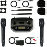 UHF Dual Channel Dynamic Echo Microphone Wireless System with Charging Dock Control for Karaoke Mics Profesional High Quality