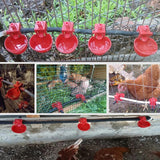 50Pcs Chicken Drinker Drinking Cups for Chicken red Quail Chicken Waterer Bowl Automatic Poultry Coop Feeder water Drinking Cups