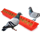 50cm Flip-Top Poultry Ground Feeder Chicken Poultry Feeder Trough Chicken farming tool Pheasant feeding bucket Quality Chick