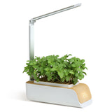 Smart Automatic Hydroponics Growing System Soilless Cultivation Of Small Flower Pots with 21 Led Grow Light for Home Kitchen