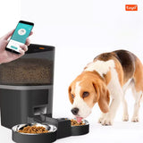 4L Tuya Feeding Timing Automatic Dispenser Smart Control Pet Feeder Suitable for Dog and Cat Bowl