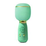 6 Sound Effects Wireless Karaoke Microphone Type-C Rechargeable Bluetooth-Compatible 5.0 for Adults Children