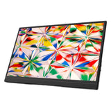 15.6'' Universal Premium Portable Monitor for Game Consoles, Computer, Laptop