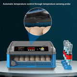Small Home Automatic Intelligent Egg Turning Parrot Chicken Duck Goose Pigeon Incubator 48/64 Eggs Brooder