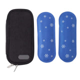 Pack Insu Coog Case with 2 Ice Pac Portable Cooler Insulation Bag for Outdoor Travel