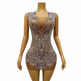 Host's Elegant with Waist Closure, Slim Skin Color, Mesh Perspective, Full Diamond Pattern, Sexy Zipper Host Dress
