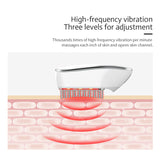 Electric RF Red Light Hair Growth Comb Anti Hair Loss EMS Therapy Treatment Vibration Massage Hair Brush Hair Care Scalp Massage
