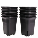 12PCS-Pack Square Plastic Succulent for Plant Flowers Cactus, Etc., Black Nursery Flower Pot