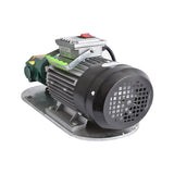 WCB-75 Self-Priming Portable Cast Iron Temperature Electric Gear 750W Small High Viscosity Oil Pump 220V