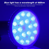 Therapy Lamp Blue Light Therapy Lamp Compact Portable for Home Travel for Beauty Salon