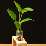 Hot Sale Crystal Glass Test Tube Vase in Wooden Stand Flower Pots for Hydroponic Plants Home Garden Decoration 1PCS