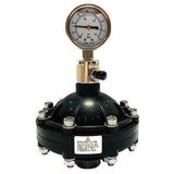UPVC/PVC damper diaphragm pulsation buffer DN15/20/25/32/40/50