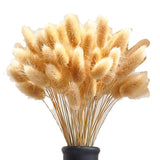 100 Stems Natural Dried Bunny Rabbit Tail Grass, Small Pampas Grass For Boho Decor, Wedding Bouquets