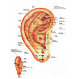 Automatic Detection Pen Auricular Points Detector Sound Therapy Ear Auriculotherapy Acupressure hine
