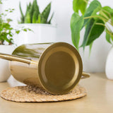 Stainless Steel For Indoor Plants And Garden, Pot 53Oz,Long Spout Watering Can