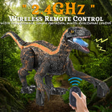 Remote Control Dinosaur Toys For Kids 3-5, Boys Toys For 3 4 5 6 Year Old Gifts Electronic RC Toys