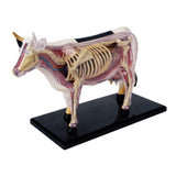 Animal Organ 4D Cow Intelligence Assembg Toy Teaching Anatomy Model DIY Popular Science Appliances