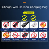 Li-ion Lifepo4 Voltage Current Adjustable Lithium Battery Charger - 1A to 25A for 12V to 84V Batteries.