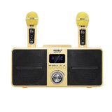 (Golden) SDRD SD309 Wireless Microphone Bluetooth Audio All-In-One Machine