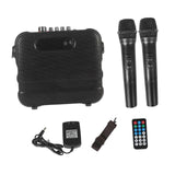Portable Karaoke Speaker with Two Karaoke Microphones for Meeting Gifts Gold