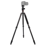 (Style 1) Triopo GT-2804X8.C Adjustable Portable Carbon Fiber Tripod with B-2 Aluminum Ball Head for Canon Nikon Sony DSLR Camera