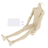 65cm 1/3 BJD Resin Male Nude Body 13-Jointed Dolls Parts Accessories Normal