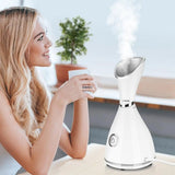 Nano ion deep cleansing hot cleaner sprayer beauty steamer facial steam