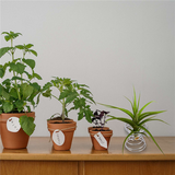 6 Pieces Stand Airplant Container Tillandsia Holder Stainless Steel Plant Display Racks Air Base