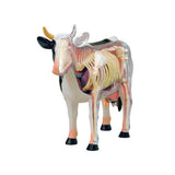 Animal Organ 4D Cow Intelligence Assembg Toy Teaching Anatomy Model DIY Popular Science Appliances