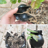 8CM Plant Rooting Equipment High Pressure Propagation Ball Growing Breeding Case For Garden Graft Box Sapling