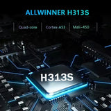 Original Tanix mini 16G Android 11.0 HD 4K Allwinner H313S Dual WiFi 4G 5G TX3 TV Box Smart H.265 2G 64G TX6 TVBOX