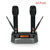 UHF Dual Channel Dynamic Echo Microphone Wireless System with Charging Dock Control for Karaoke Mics Profesional High Quality