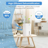 850mL Portable Small Dehumidifier with Basic Air Filter - Auto-off Protection and Humidity Control for Home and Office
