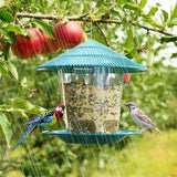 Automatic Foot Tool Outdoor Bird Feeder Hanging Nut Feeding Multiple Hole Dispenser Holder Food Container