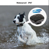 RF-V43 4G LTE Waterproof WIFI Pet LED Light Voice Monitor Dog Gps Tracker For Tracking System
