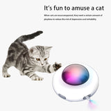 Cute Smart Teaser UFO Turntable Catching Training Toys USB Charging Interactive AUTO Pet Toy