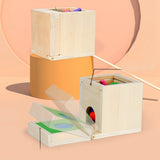 6-In-1 Wooden Montessori Kit Object Permanence Play Set With Coin Box Carrot Harvest Shape Sorter Ball Drop Toy Durable