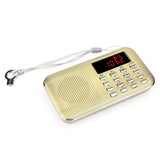 Retekness PR-11 2-Band Insert Card Radio - AM FM & MP3 - F9210J